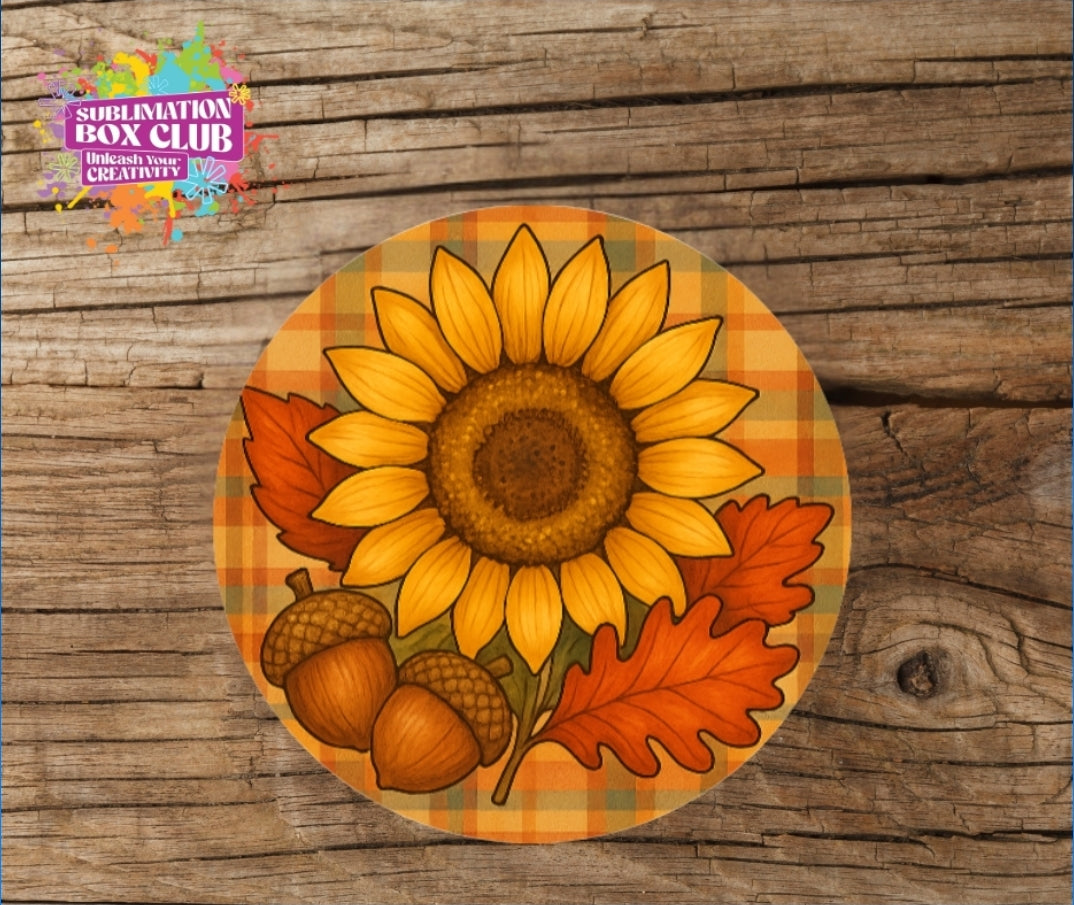 Sublimation Acrylic Coasters – 3.75" Circle & Square Blanks